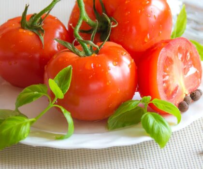 jak správně spařit rajčata