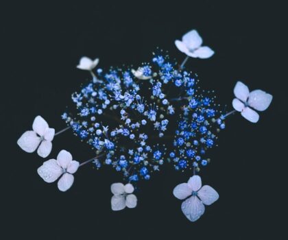 Materiał zewnętrzny