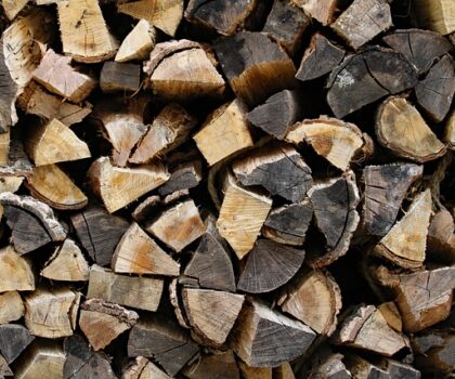 Jak vybrat správné palivo pro vaši domácnost? Kvalitní prodej paliv jako základ úsporného vytápění